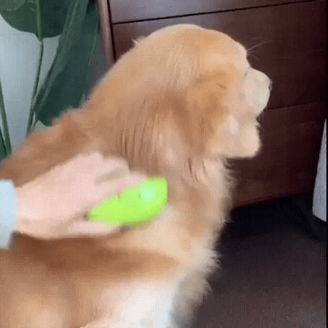 Cepillo Eliminador de Pelo 3 en 1 con Spray Calmante