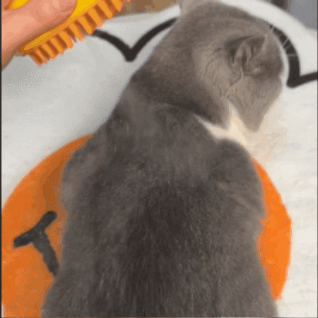 Cepillo Eliminador de Pelo 3 en 1 con Spray Calmante